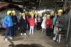 Maschinist-Herr-Boehnke-Sibylle