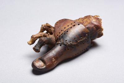 Besuch der Ausstellung „Transhuman – von der Prothetik zum Cyborg“